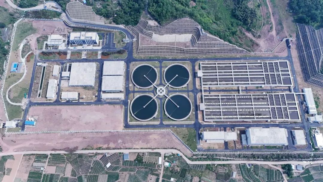 jk黑色丝袜美女被网站